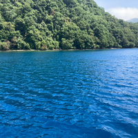 支笏湖観光船の写真
