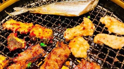 白頭山稲場店 愛知県刈谷市稲場町 焼肉 ホルモン Yahoo ロコ