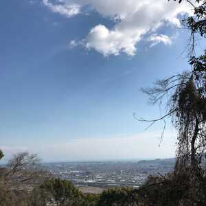 一本松公園 静岡市 静岡県静岡市清水区大内 Yahoo ロコ