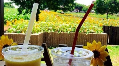 世羅高原農場 広島県世羅郡世羅町大字別迫 見る Yahoo ロコ