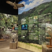 環境省西表野生生物保護センターの写真