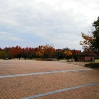 岡山県 庭球場の写真
