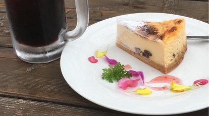 九十九里ハーブガーデン 千葉県山武郡九十九里町片貝 見る Yahoo ロコ