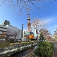 テレビ塔の写真