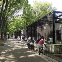 川崎市夢見ヶ崎動物公園の写真