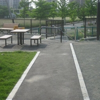 小野幌あけぼの公園の写真