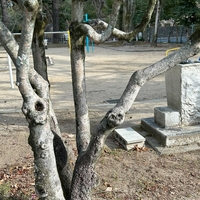 弓之町公園の写真