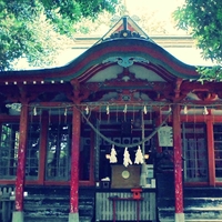 白髭神社の写真
