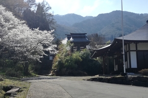 高顕寺(長野県須坂市大字仁礼/寺) Yahoo!ロコ