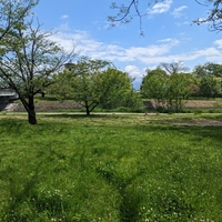 石手川緑地の写真