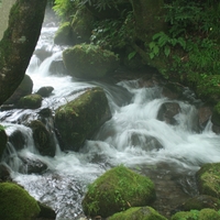 木谷沢渓流の写真