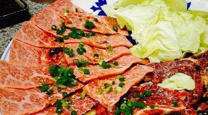 楽市焼肉ホルモンセンター 福岡県飯塚市楽市 ホルモン Yahoo ロコ