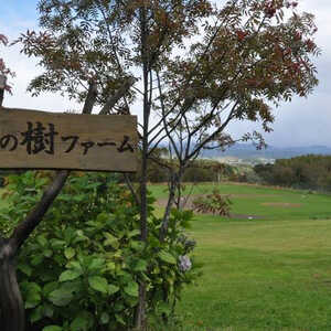 栗の樹ファーム(北海道夕張郡栗山町字湯地/展示館) - Yahoo!ロコ