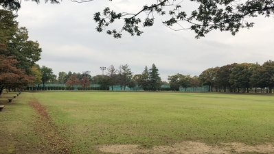 富山県常願寺川公園サッカー広場 富山県富山市水橋開発 その他のスポーツ施設 小規模 Yahoo ロコ