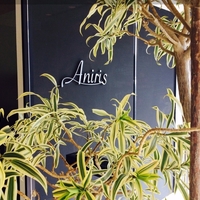 hair salon  Aniris(アニリス)の写真
