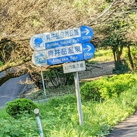 青井岳自然公園の写真