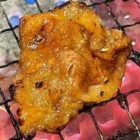 かこみの写真