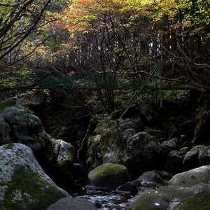 高瀬峡 山形県飽海郡遊佐町野沢 紅葉 Yahoo ロコ