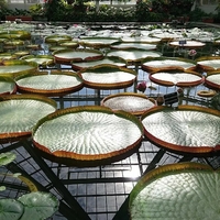 広島市植物公園の写真