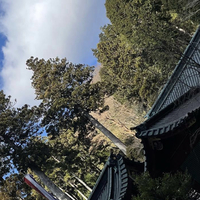 箱根神社の写真