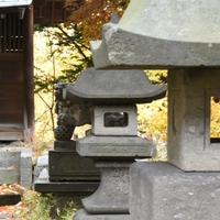 菜洗神社の写真