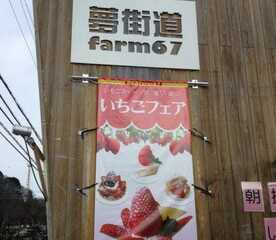 夢 街道 farm67