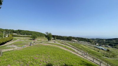 みさと芝桜公園 群馬県高崎市箕郷町松之沢 見る Yahoo ロコ