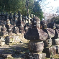 願成寺の写真