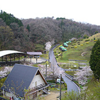 岩倉峡公園キャンプ場の写真