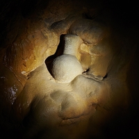 龍河洞の写真