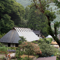 鶴富屋敷の写真