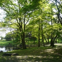 旧彦根藩松原下屋敷(お浜御殿)庭園の写真