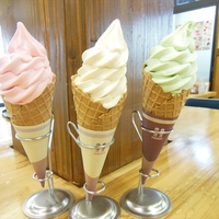 農家レストラン 食彩あぐりの写真