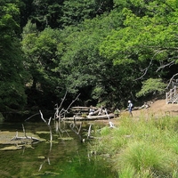 泉門池の写真