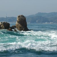 来島海峡急流観潮船の写真