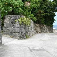阿伝集落のサンゴの石垣の写真