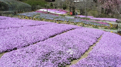 花の郷 滝谷花しょうぶ園 奈良県宇陀市室生瀧谷 見る Yahoo ロコ