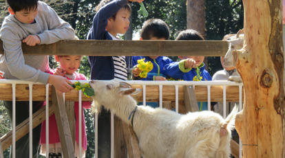 佐倉草ぶえの丘 千葉県佐倉市飯野 見る Yahoo ロコ