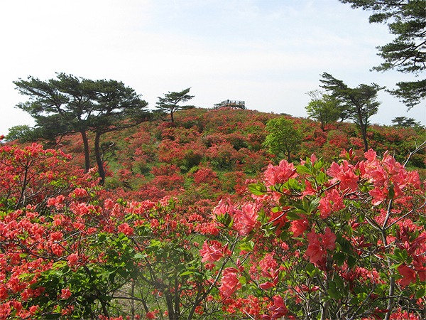 高柴山の説明