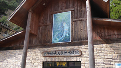 高千穂峡淡水魚水族館 宮崎県西臼杵郡高千穂町大字向山 水族館 Yahoo ロコ