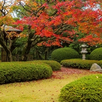 福岡市文化交流公園 松風園の写真