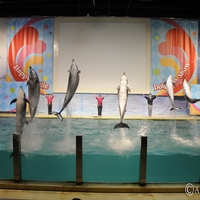 青森県営浅虫水族館の写真