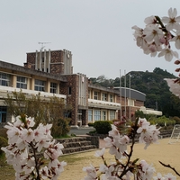 下関市立豊北小学校の写真