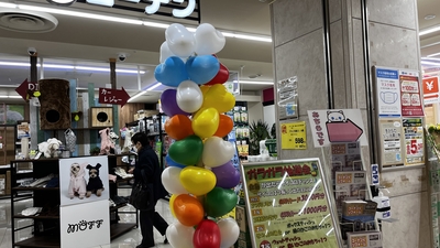 コーナン 八王子オクトーレ店 東京都八王子市旭町 ホームセンター Yahoo ロコ