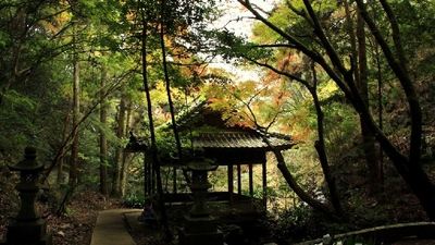 白馬渓 大分県臼杵市大字前田 峡谷 Yahoo ロコ