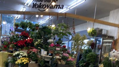 花の店よこやま東海店 茨城県那珂郡東海村舟石川駅東 観葉植物小売業 Yahoo ロコ