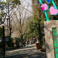 池田市五月山動物園の写真
