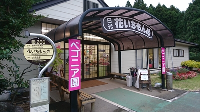 日光 花いちもんめ 栃木県日光市小佐越 植物園 Yahoo ロコ