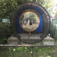 井の頭自然文化園の写真