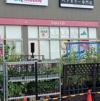 JA直売所 大平カインズモール直売所「愛菜果」の写真